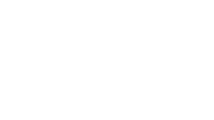 Voicle Logo
